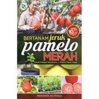 Bertanam Jeruk Pamelo Merah