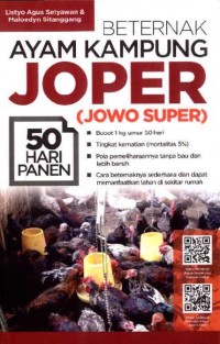 Beternak Ayam Kampung Joper (Jowo Super) 50 Hari Panen