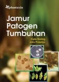 Jamur Patogen Tumbuhan