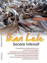 Sukses Budi Daya Ikan Lele secara Intesif