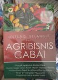 Untung Selangit dari Agribisnis Cabai