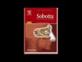 Sobotta atlas of human anatomy. Vol. 1:Head, neck, upper limb